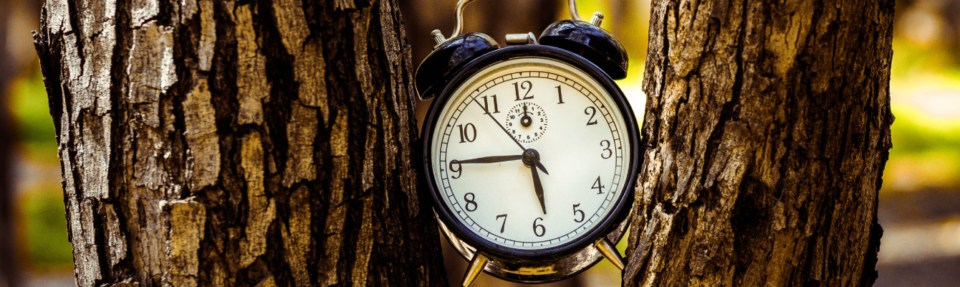 Comment fournir le meilleur support client en temps réel en 2025