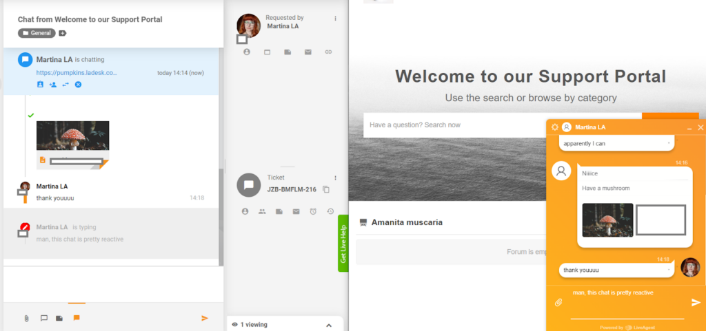 LiveAgent - aperçu de saisie en temps réel