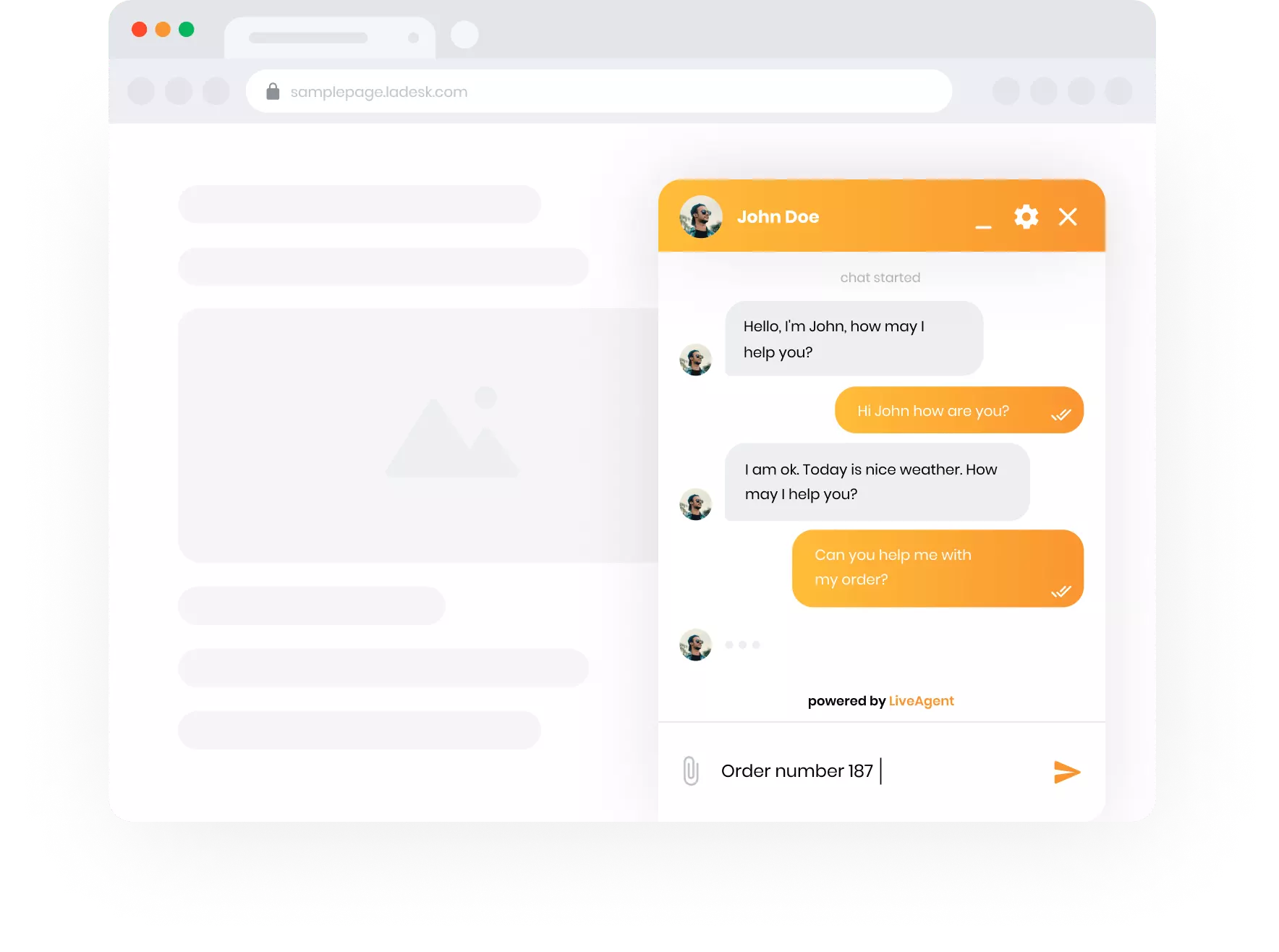 Vue du chat en direct LiveAgent