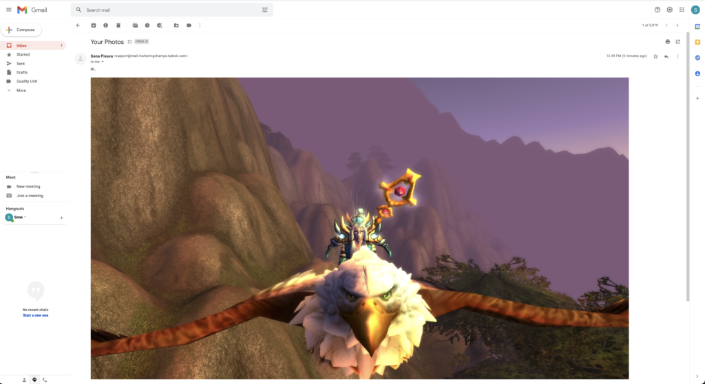 Exemple d'image collée intégrée dans un email