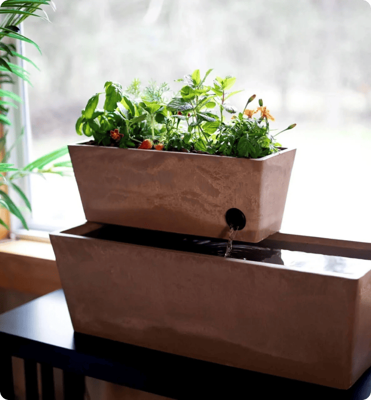 Comment AquaSprouts atteint un taux de satisfaction client de 96,5% avec LiveAgent